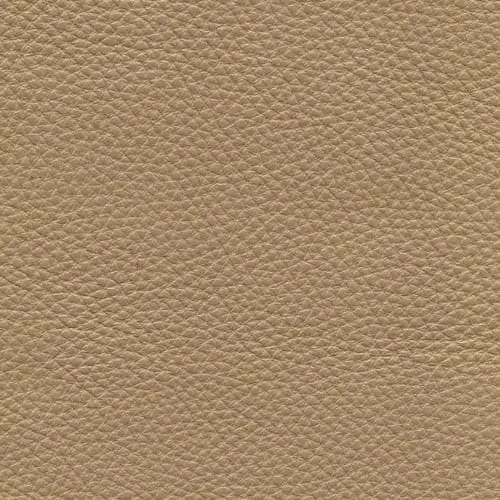 GEORGIO CAMEL