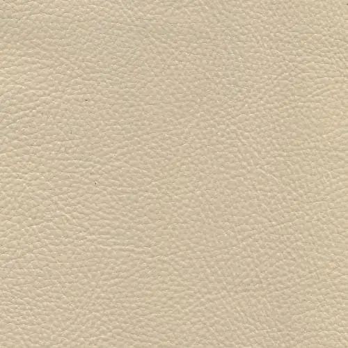 GEORGIO CANVAS
