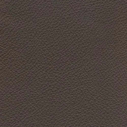 GEORGIO CHARCOAL