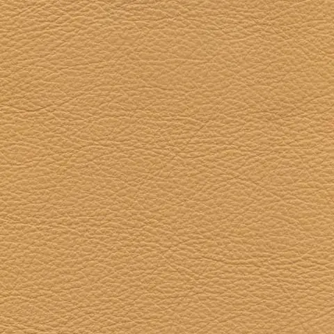 GEORGIO APRICOT