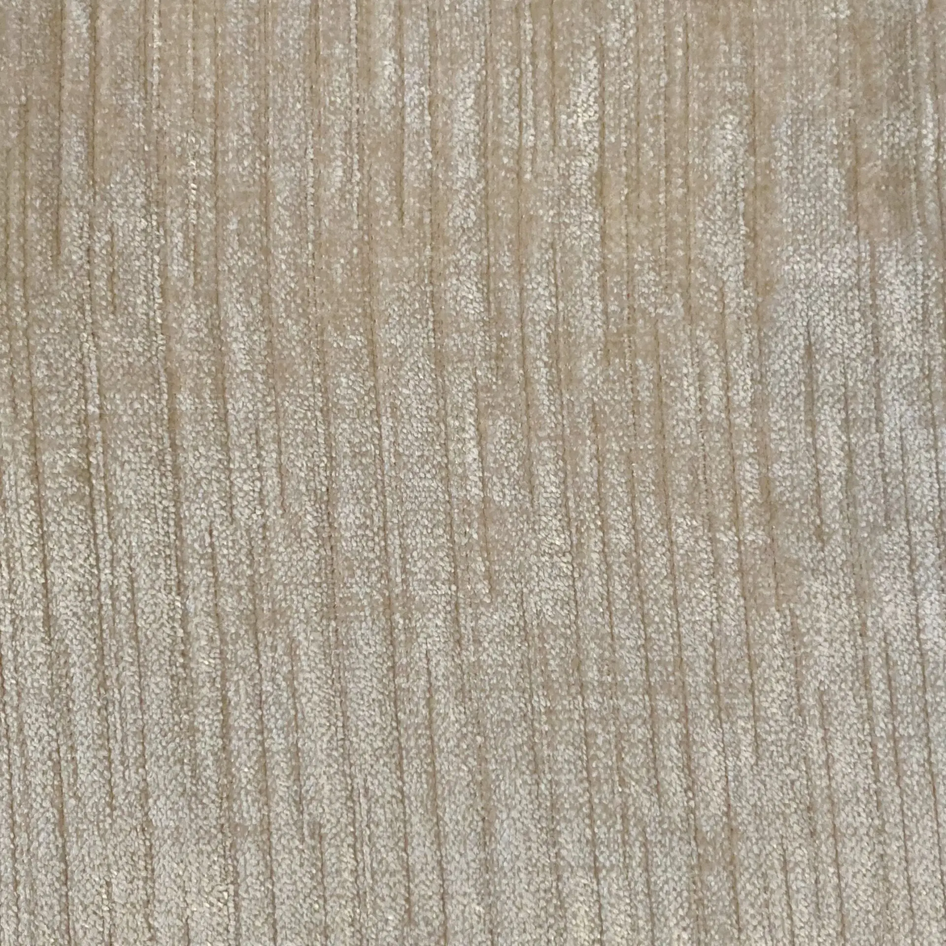 Sizzle Ivory