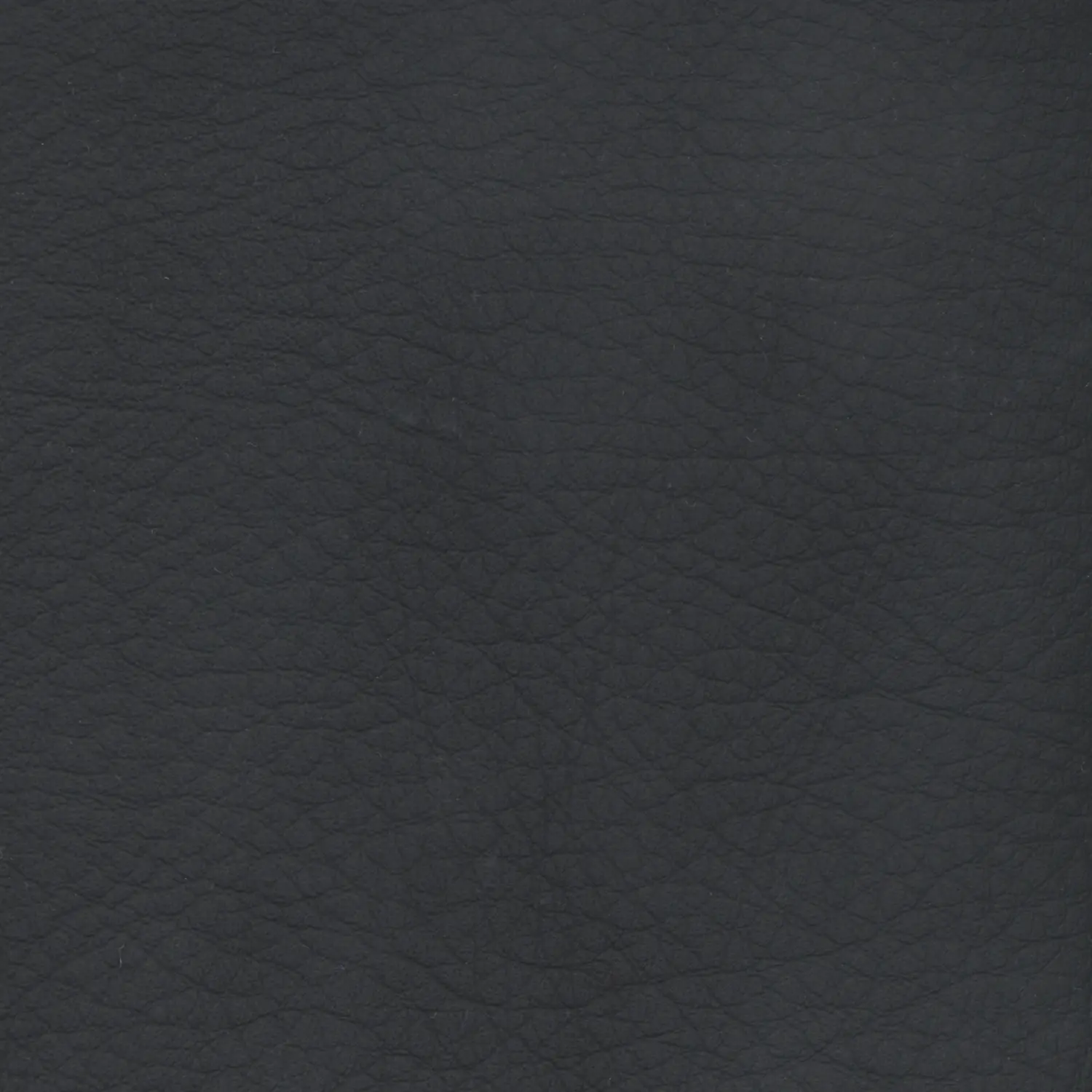 Whisper Black