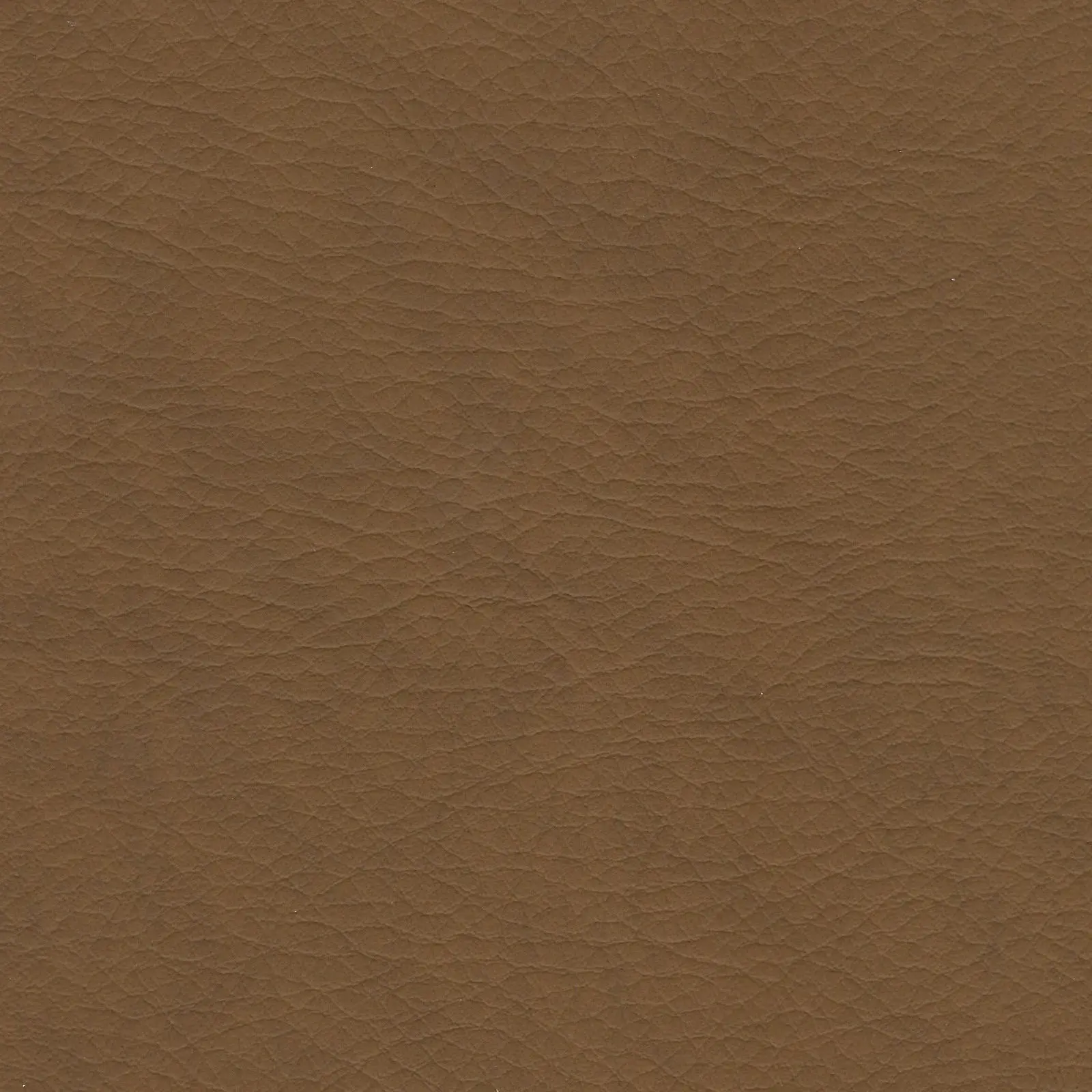 Whisper Ochre