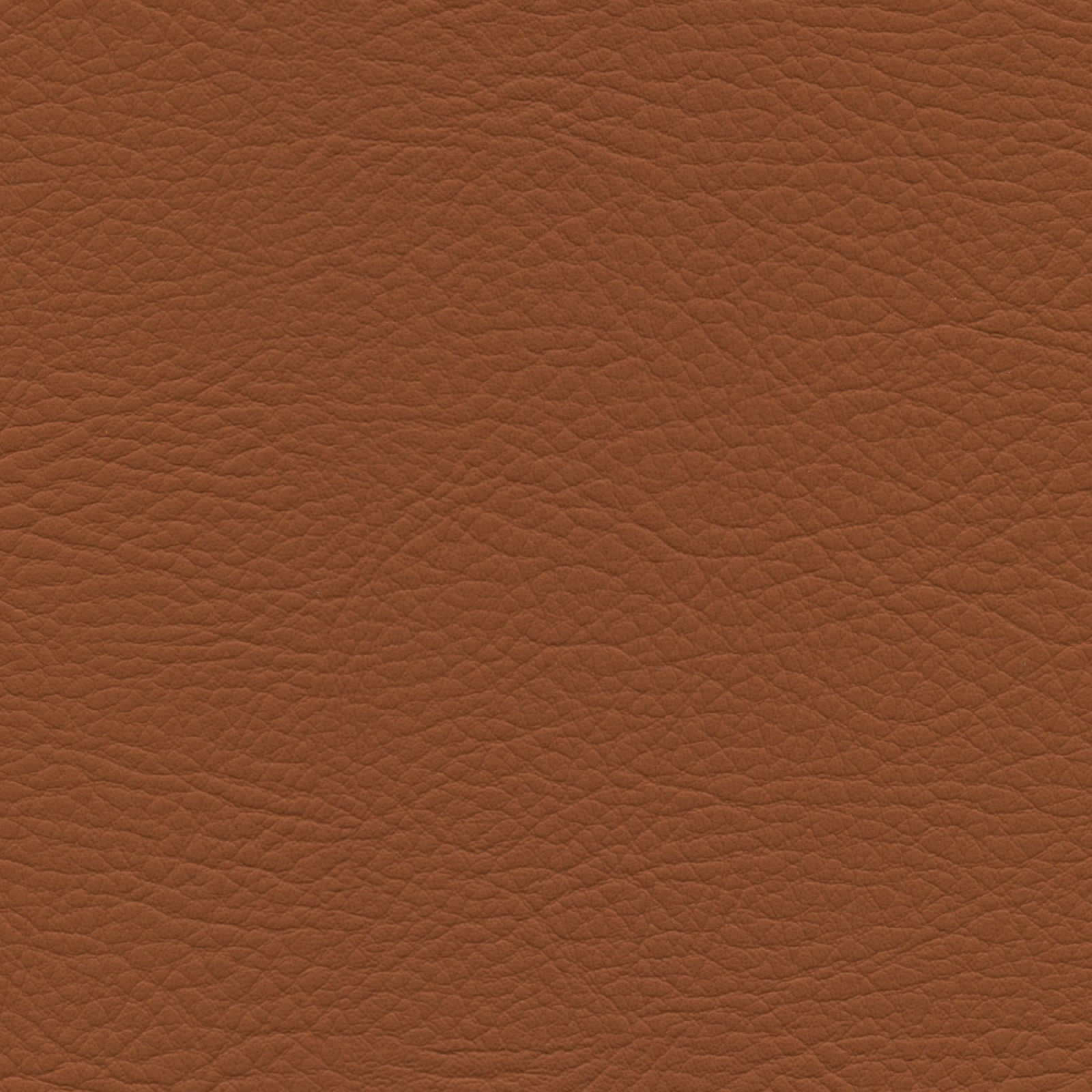 Whisper Saddle