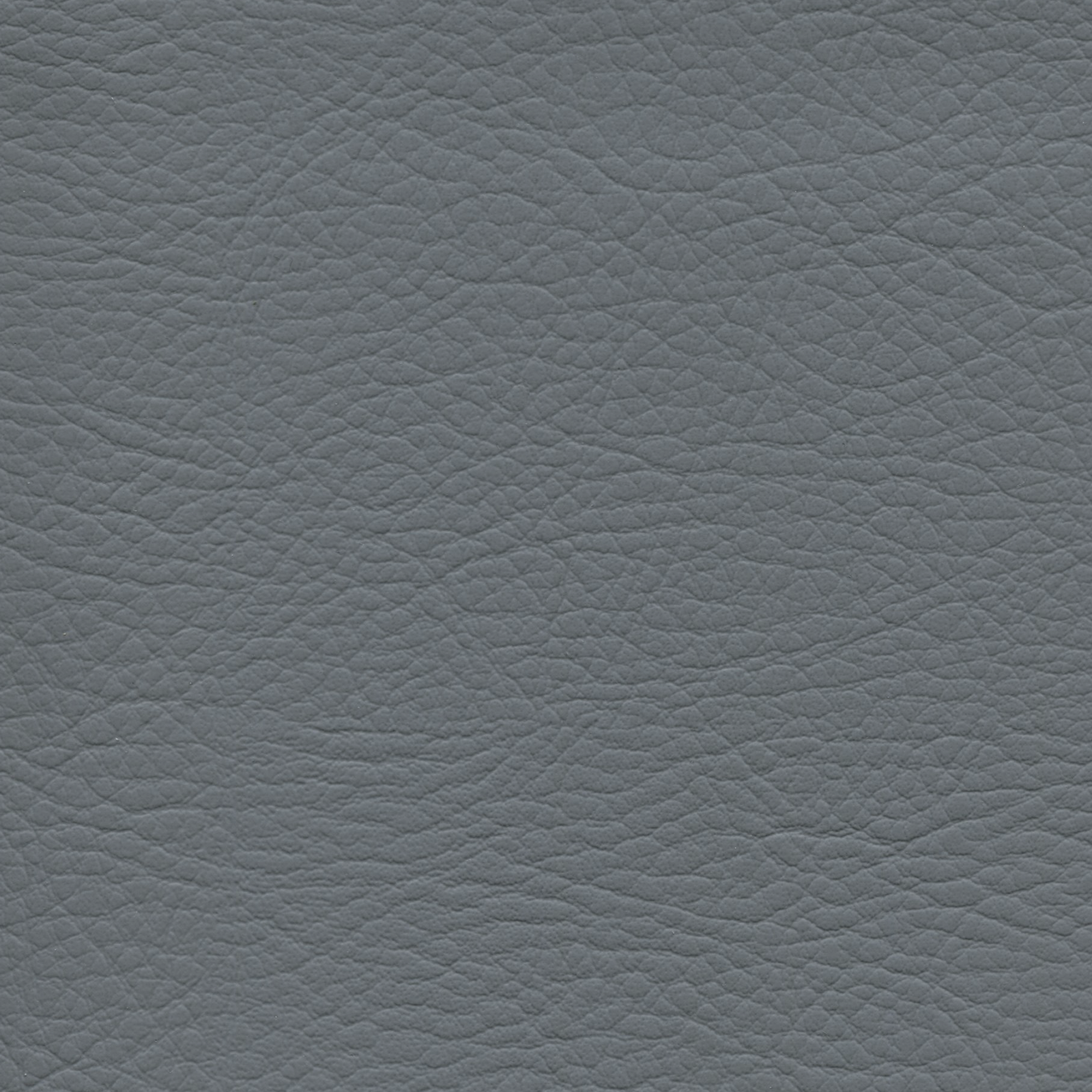 Whisper Wolf Grey