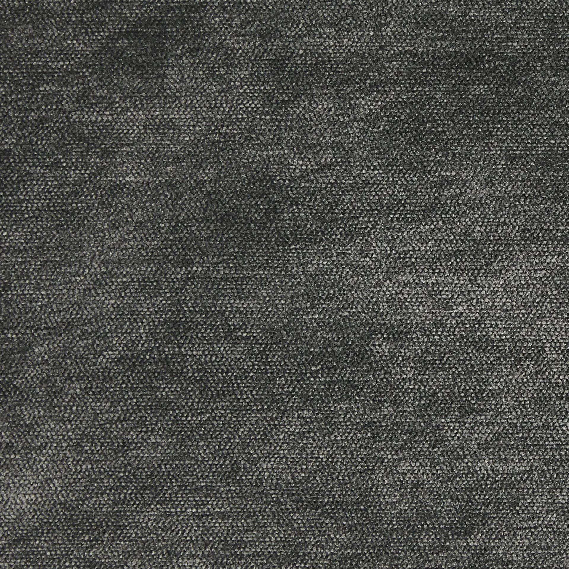 Caio Charcoal